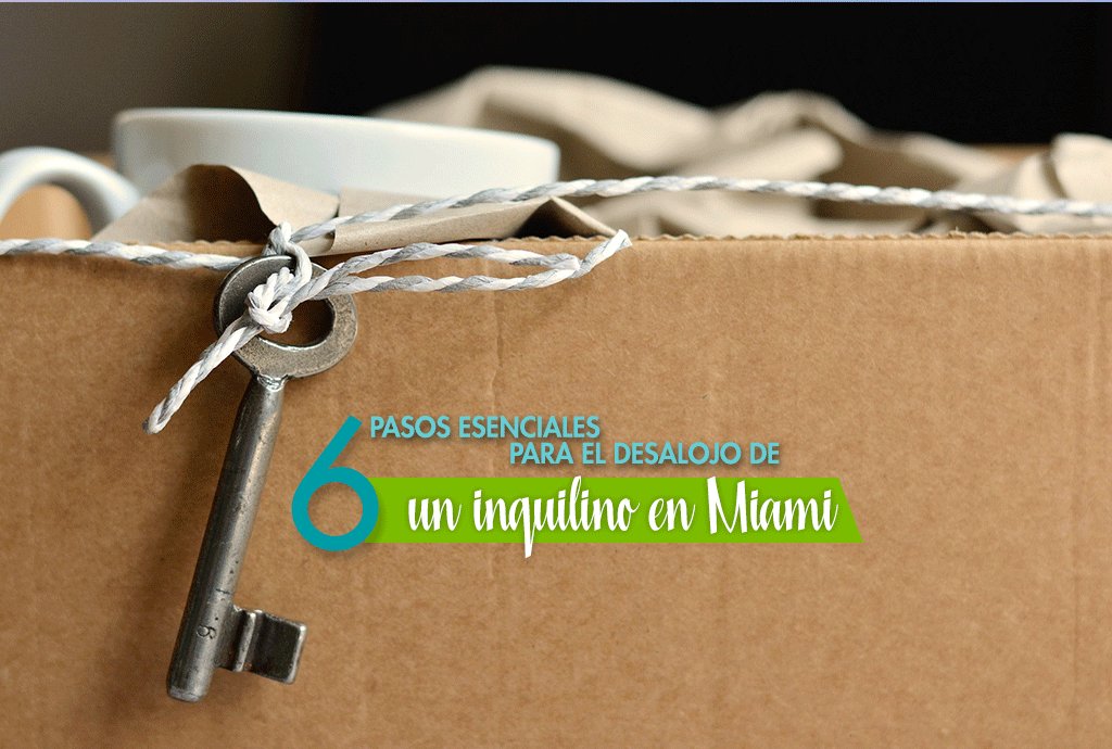 desalojo 6 pasos esenciales para el desalojo de un inquilino en Miami desalojo de inquilino en Miami