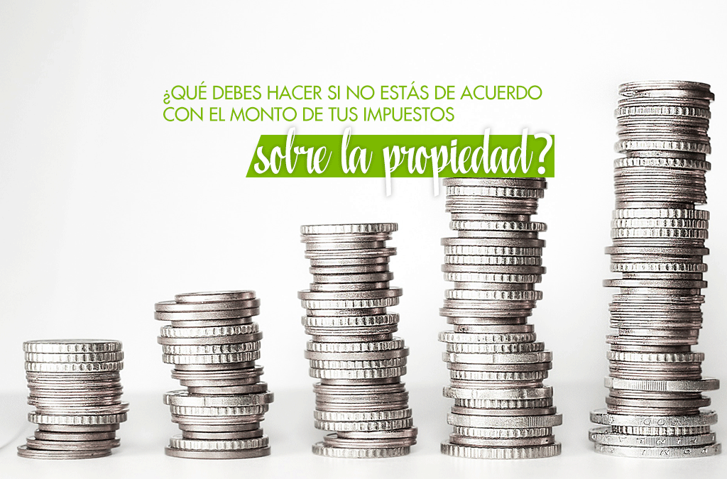 ¿Qué debes hacer si no estás de acuerdo con el monto de tus impuestos sobre la propiedad?